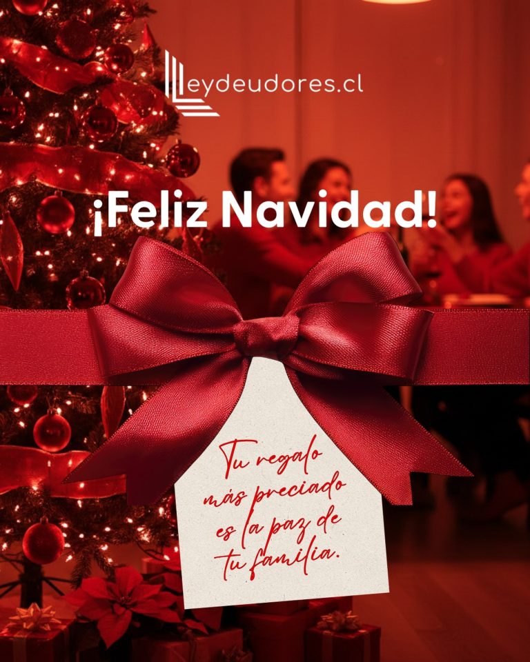 Instagram post from leydeudorescl. This post is in position 3.